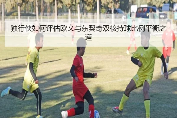 独行侠如何评估欧文与东契奇双核持球比例平衡之道